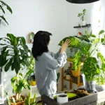 Indoor Vegetable Garden