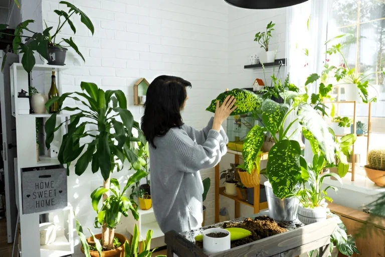 Indoor Vegetable Garden