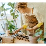 When to Start Seeds Indoors