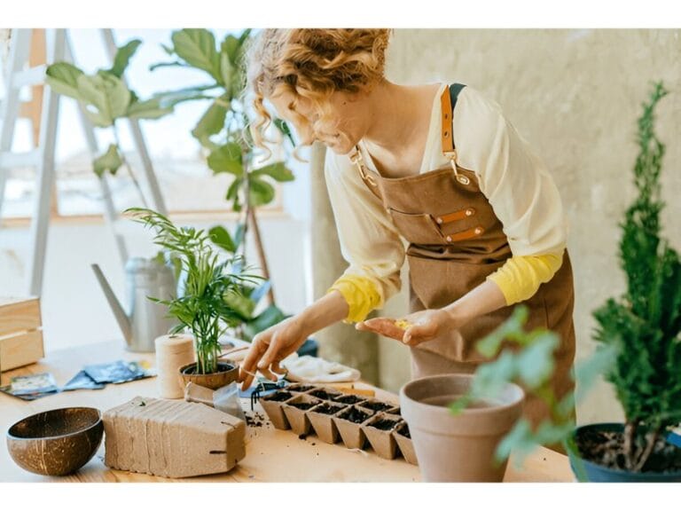 When to Start Seeds Indoors