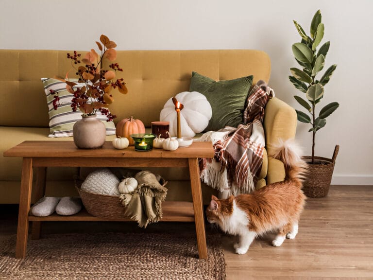 Fall Decor