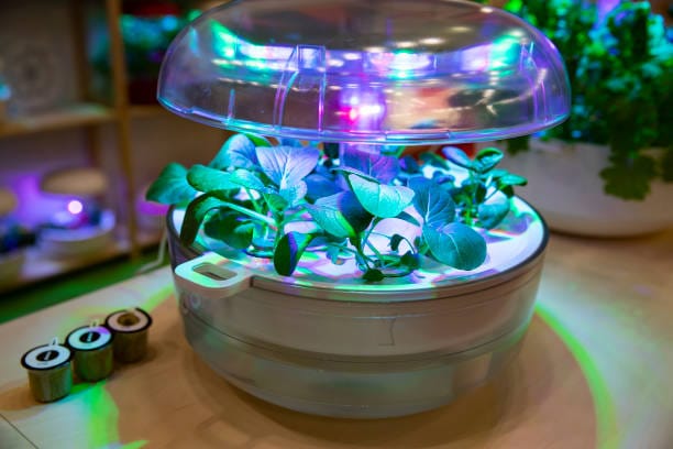 Smart-Garden-The-Ultimate-Guide-to-a-Fresher-Home Smart Garden: The Ultimate Guide to a Fresher Home