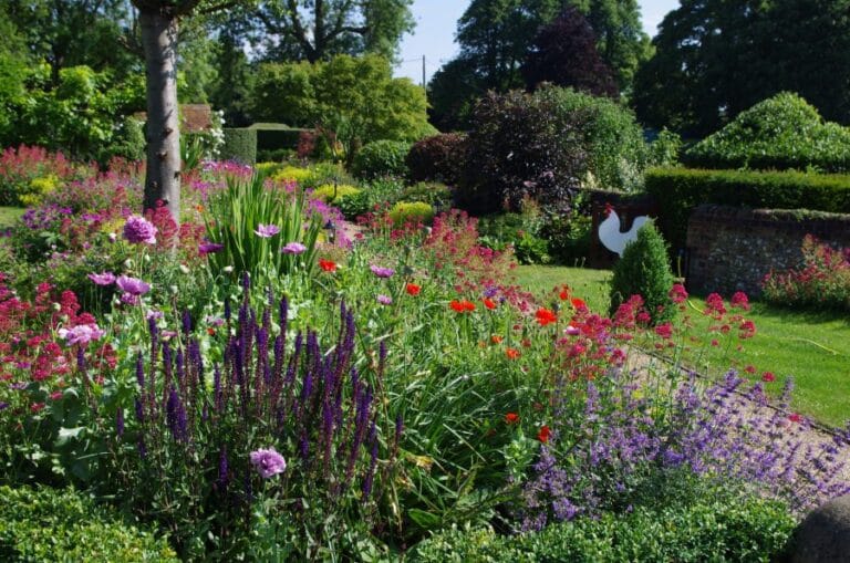 Landscape Design Ideas to Transform Your Yard