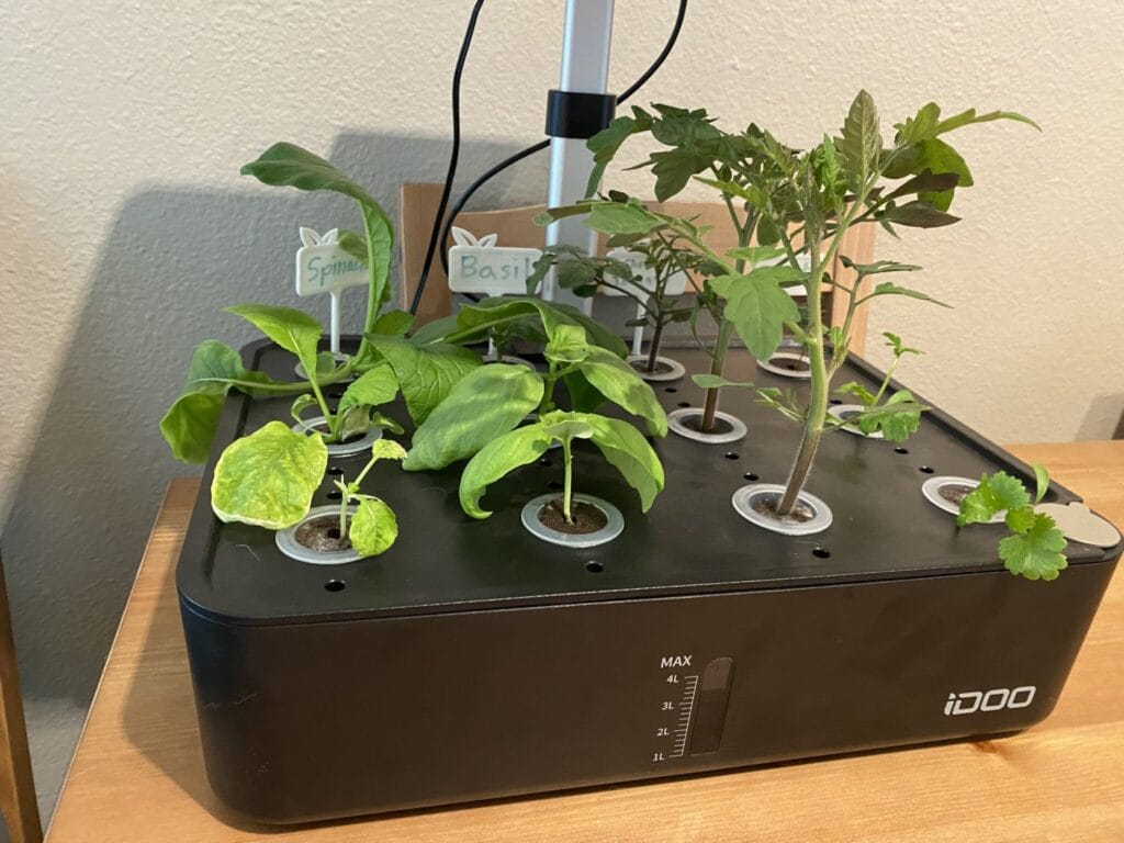hydroponic-system-the-iDOO-1024x768 Smart Garden: The Ultimate Guide to a Fresher Home