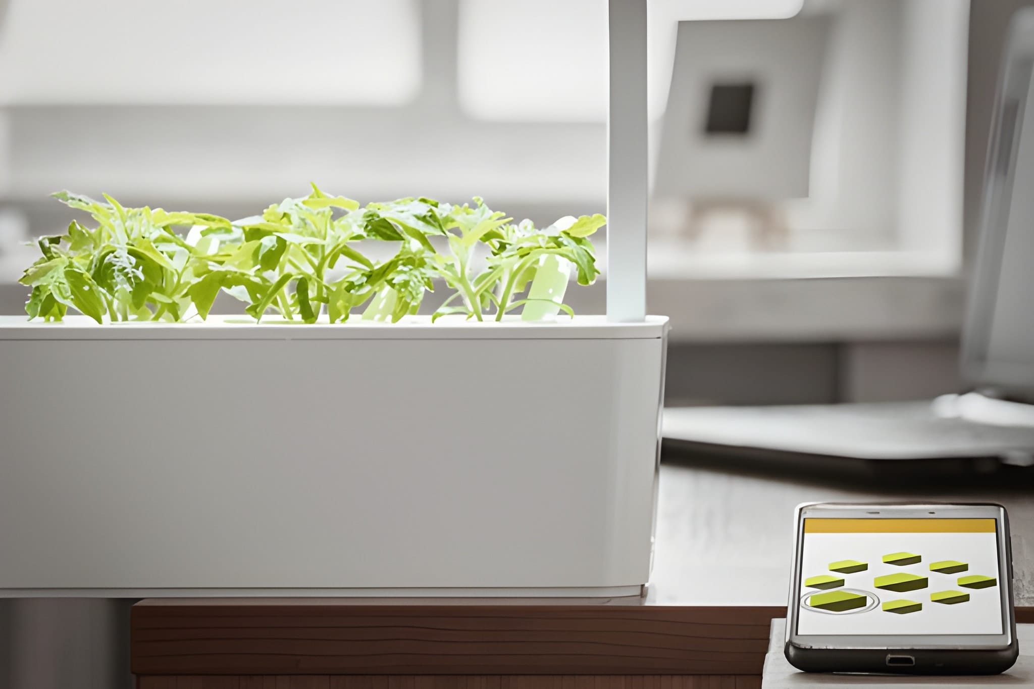 smart-garden Woodcrafts Wonders