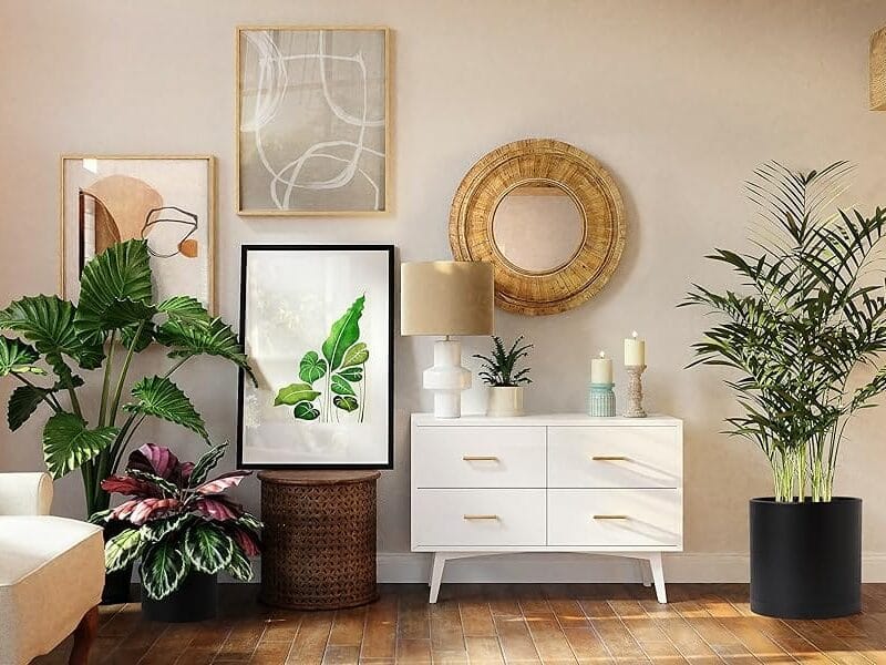 Dvine-Dev-14-Inch-Black-Plastic-Planter-Pots-for-Plant-Pot-with-Drainage-Hole-and-Seamless-Saucers-74-X-B-4-edited Stunning! 5 Japandi Garden Secrets for Minimalist Design