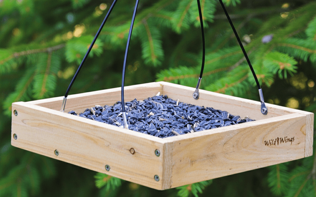 Feeder-V3_-Pine-Background-1024x640 5 Easy DIY Winter Bird Feeder Plans