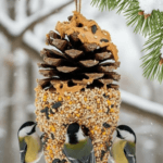 5 Easy DIY Winter Bird Feeder Plans