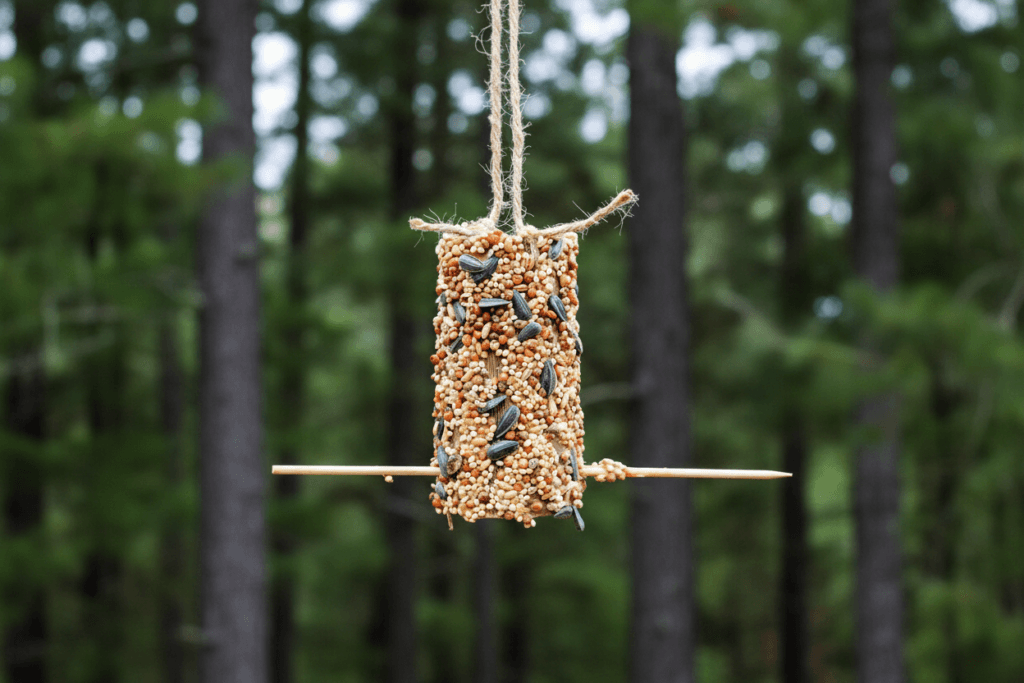 Feeder-V3_-Pine-Tree-Background-1024x683 5 Easy DIY Winter Bird Feeder Plans